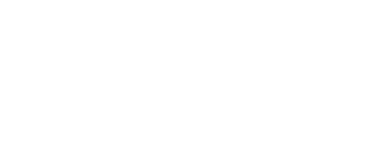 opcion 2